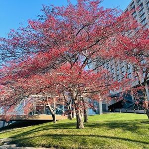 Meet your Posher, Binh